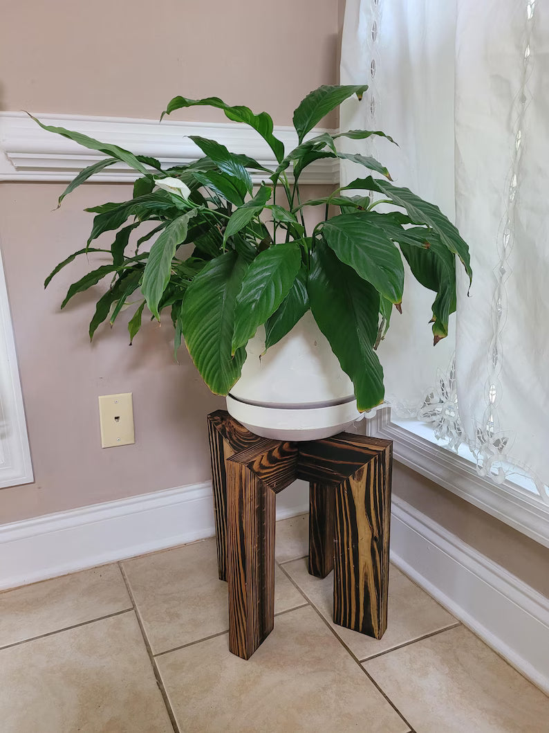 Burnt Wooden Plant Stand 16" x 16"